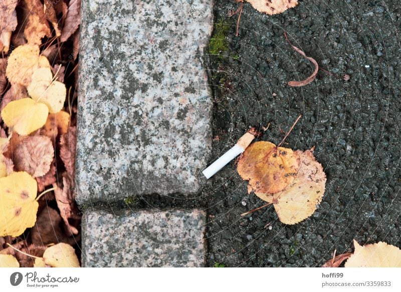 garbage cigarette Smoking Environment Leaf Park Footpath Cigarette Cigarette Butt Trash Threat Dirty Disgust Hideous Broken Illness Aggravation Stress
