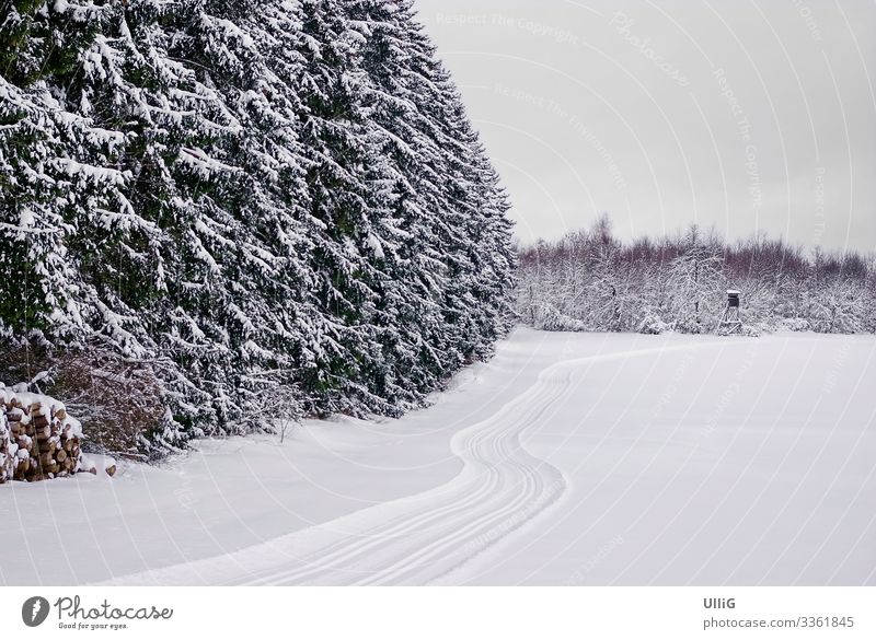 Snow-covered winter forest and open field with cross-country ski run. Cross-country ski trail Forest Winter snowy Field Landscape Nature Tracks
