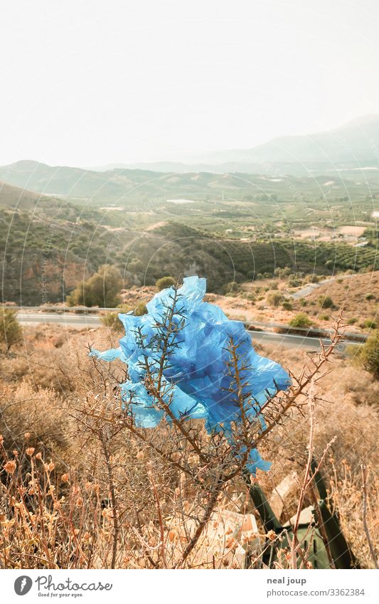 Elegantly wasted -VII- Shopping Luxury Environment Nature Landscape Bushes Greece Packaging Plastic bag Trash Hang Sustainability Trashy Gloomy Blue Ignorant
