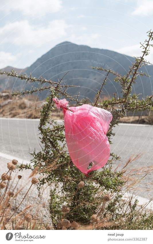 Elegantly wasted -I- Luxury Environment Nature Bushes Mountain Packaging Plastic packaging Plastic bag Trash Trashy Gloomy Ignorant Lack of inhibition Squander