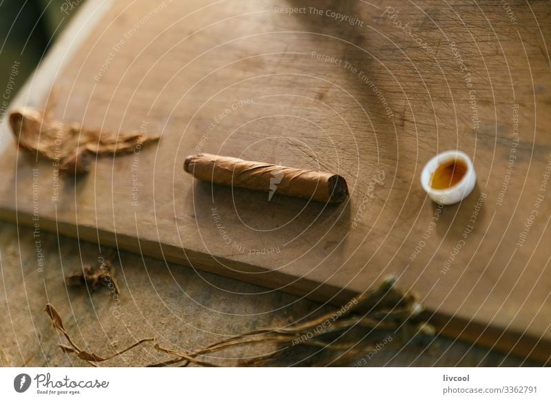 making cigars , vinales - cuba Lifestyle Island Table Man Adults Hand Nature Leaf Village Town Wood Make Authentic Uniqueness Brown Cuba Cuban people Cigar