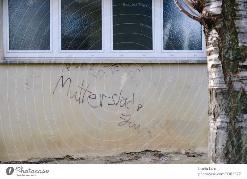 Mother, graffiti House (Residential Structure) Adults Tree Tree trunk Tree bark Wall (barrier) Wall (building) Window Graffiti Frustration Misunderstand