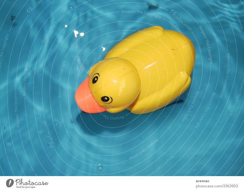 Ententeich Duck Swimming & Bathing Blue Yellow Rubber Toys Water Bathtub Playing Colour photo Interior shot Detail Artificial light Bird's-eye view
