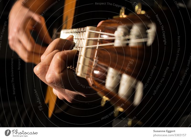guitar playing Make music Passion Music Musician Musical instrument Artistically talented Guitar Guitarist Guitar neck Guitar string Play guitar Guitar position