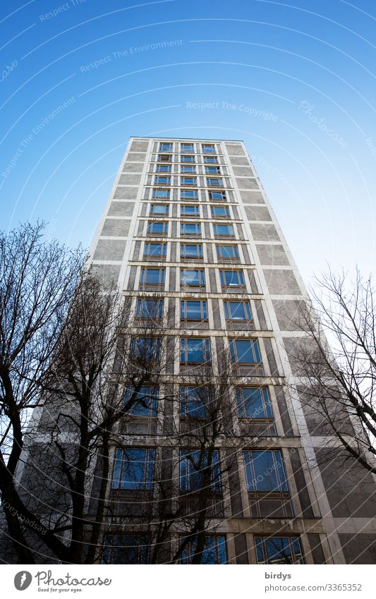 high up Cloudless sky Winter Beautiful weather Tree Wuppertal High-rise Manmade structures Architecture Facade Authentic Tall Town Blue Gray Colour photo