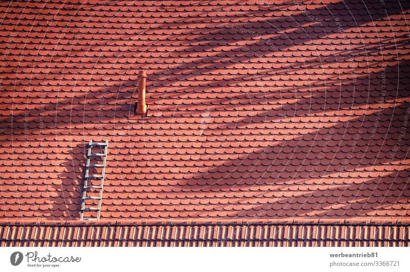 Lonely ladder at the roof top Design Handicraft House (Residential Structure) Craft (trade) Architecture Observe Red Loneliness brick built structure
