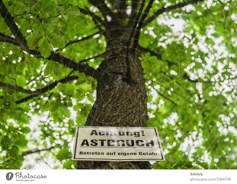 Danger due to branch breakage Nature Tree Signage Warning sign Brown Green Black White Threat Branch break Caution Characters Text Tree trunk Leaf Leaf canopy