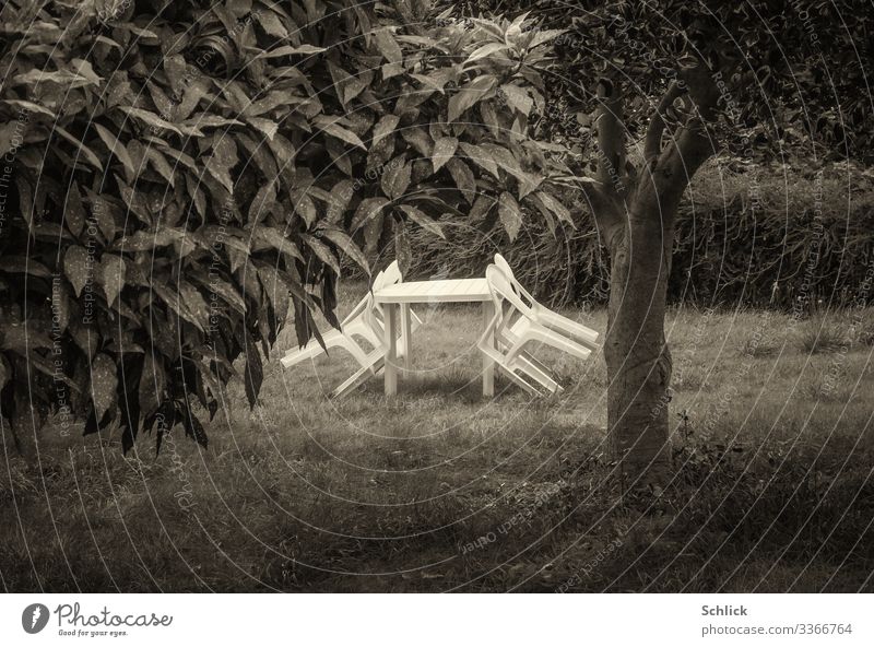 Garden chairs in white plastic leaning against a table on a meadow with a tree in black and white Eating Drinking Relaxation Outdoor furniture Garden table