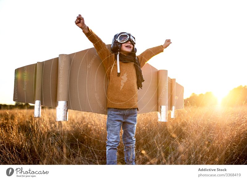 Cheerful little boy playing aviator game in countryside dream kid goggles wing cardboard child male costume son childhood imagination pilot inspiration