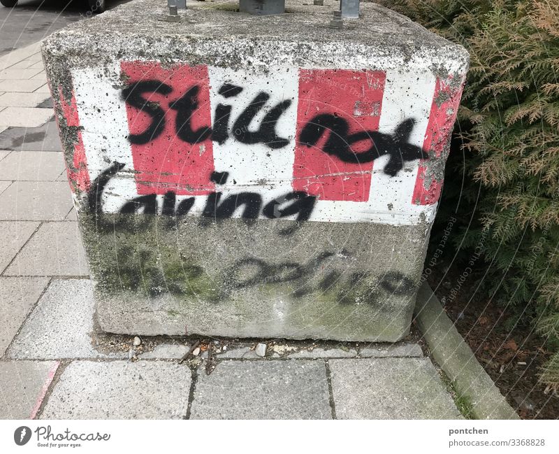Graffiti-English text expresses dislike of the police. Police violence Youth culture Subculture Punk Communicate Police Force Cancelation Word Characters