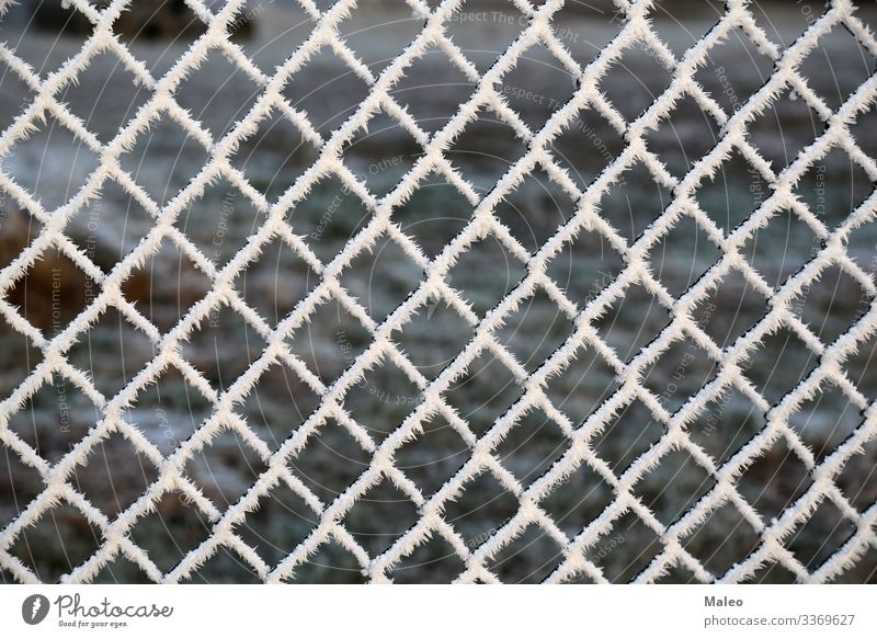 Metal net with hoarfrost Abstract Background picture Barrier Border Close-up Cold Construction Ice crystal Snow crystal Detail Fence Frost Grating Hoar frost