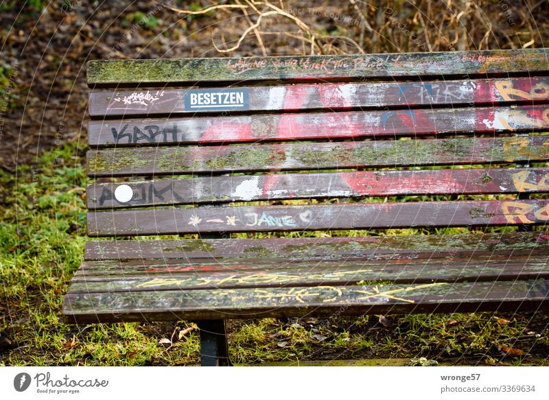 invitation to linger Park Bench Park bench Wood Signs and labeling Graffiti Free Multicoloured Green Calm Garden bench Seating Empty Label Fill Sit down