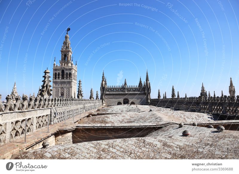 Giralda Tower + Seville Cathedral Roof Vacation & Travel Tourism Sightseeing Church Dome Gateway Arch Bell Tower Tourist Background picture Gothic period