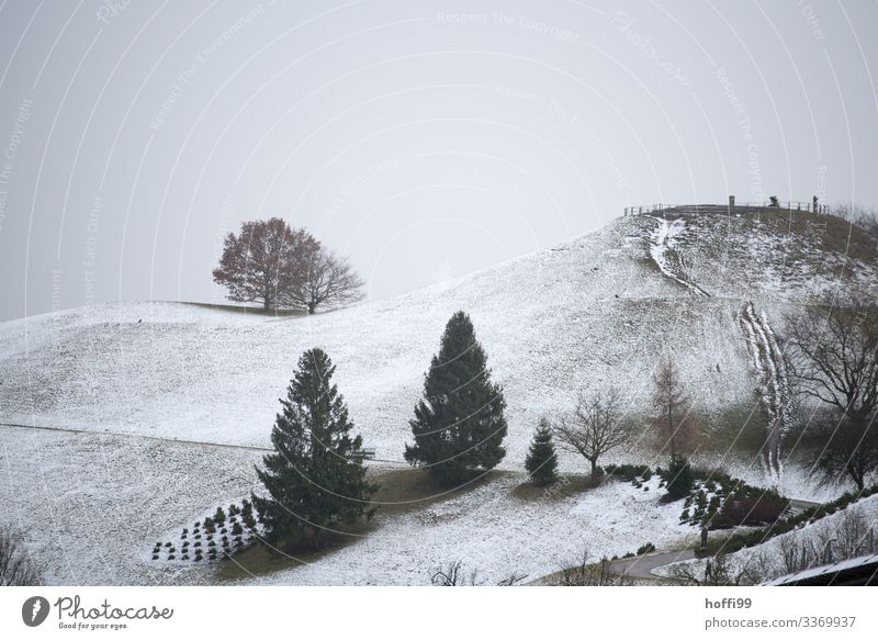 winterly hilly park landscape with trees in exposed position Landscape Clouds Winter Weather Bad weather Fog Snow Tree Park Hill Esthetic Dark Cold Wet Natural