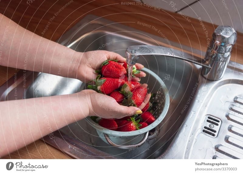 Cleansing strawberries in the sink. Hands washing fruits Fruit Dessert Organic produce Lifestyle Sieve Fresh Natural agriculture cleansing fruits diet food