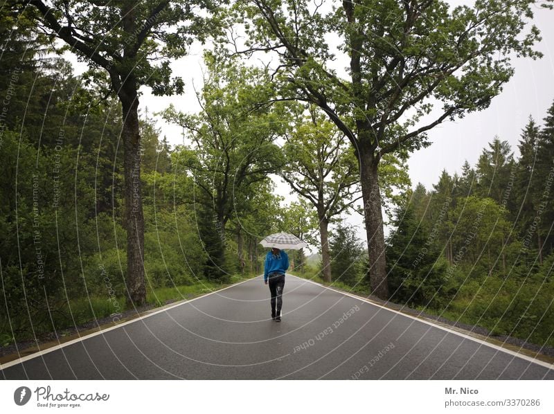Young woman walking on a country road Street Avenue Country road go for a walk Umbrella Loneliness Lanes & trails Landscape Traffic infrastructure Environment