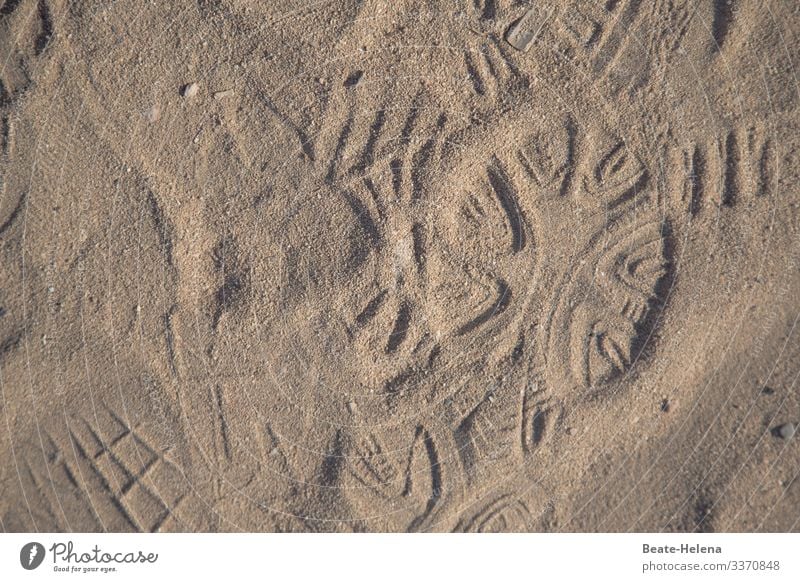 Search for clues 4 Sand footprint Pattern Footprint Exterior shot Beach Sandy beach