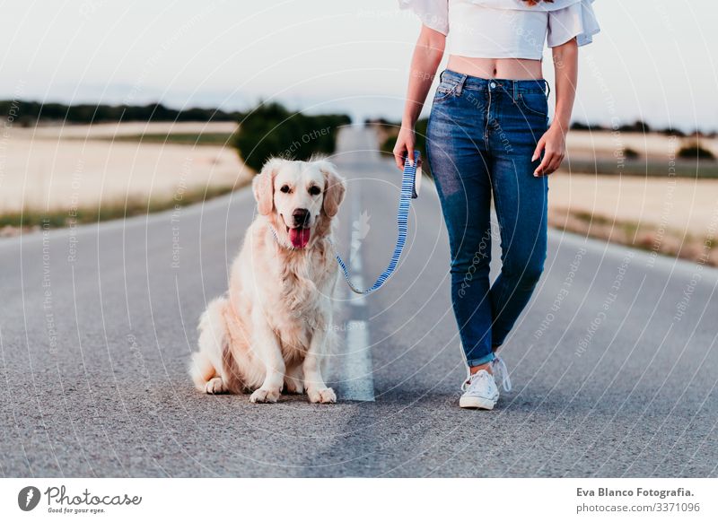 young woman standing outdoors with beautiful golden retriever dog. summer time road street urban countryside field sunset walking happy training labrador
