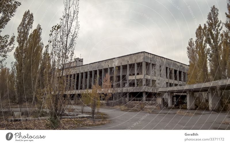 old abandoned empty building in Chernobyl Ukraine House (Residential Structure) Plant Autumn Tree Building Street Stone Old Green Acceptance Dangerous