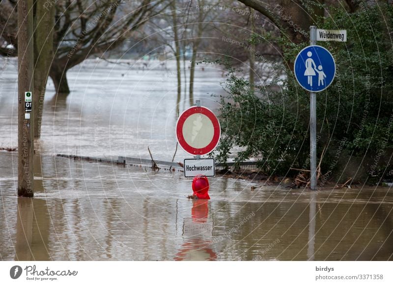 Country under Water Autumn Winter Climate change Bad weather Rain Tree Park Lanes & trails Road sign Footpath Sign Characters Signage Warning sign Authentic