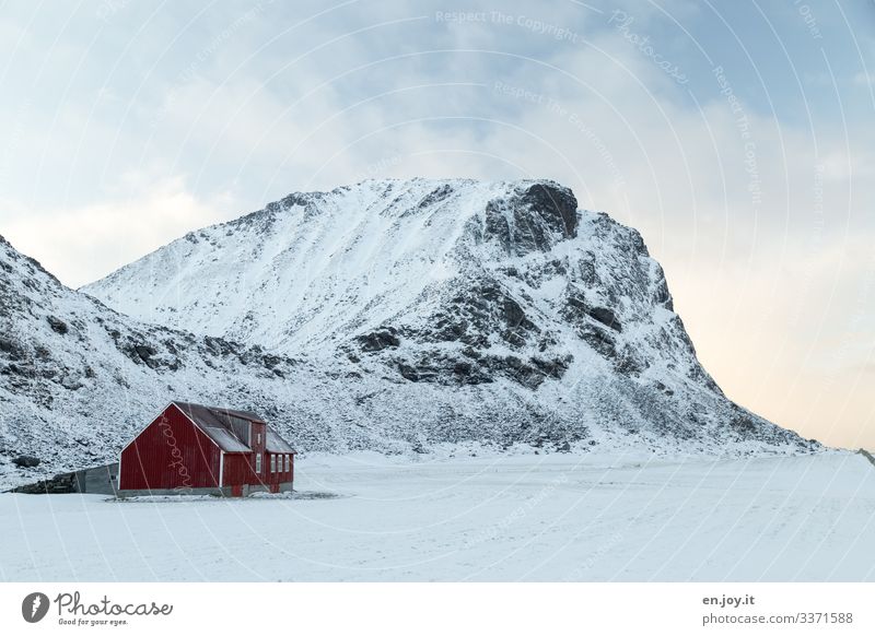 Sheep pen Vacation & Travel Winter Snow Nature Landscape Clouds Ice Frost Rock Mountain Snowcapped peak Norway Scandinavia Lofotes House (Residential Structure)