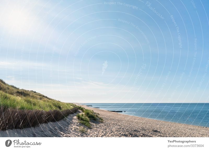 Beach scenery with grassy dune at the North Sea on Sylt Relaxation Summer Sun Ocean Sand Beautiful weather Coast Happiness Joie de vivre (Vitality)