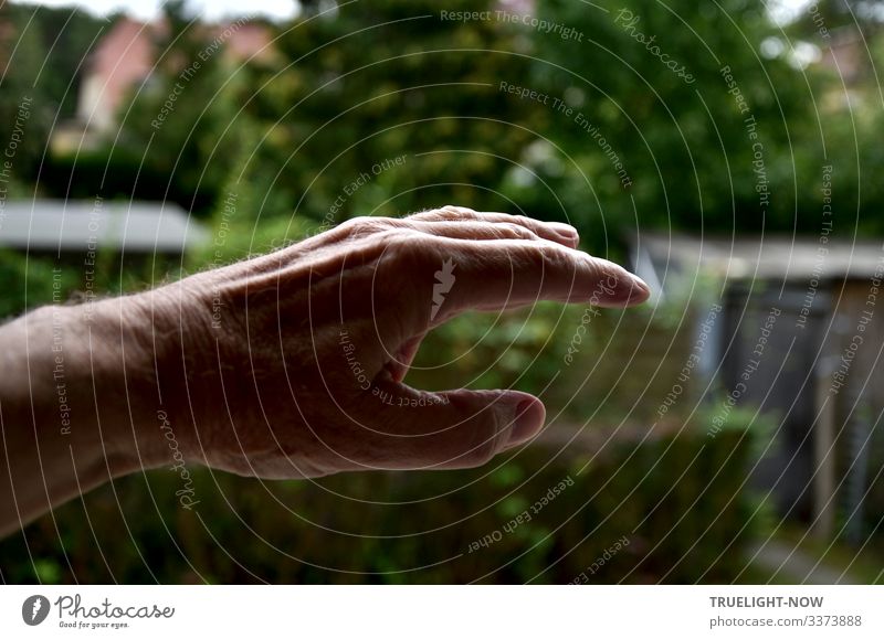 Try to bring my 'Cloud Hand' - a T'ai Chi sequence - into the picture in front of a garden background Open Hover cloud hands Fingers Thumb Forefinger wrist Man