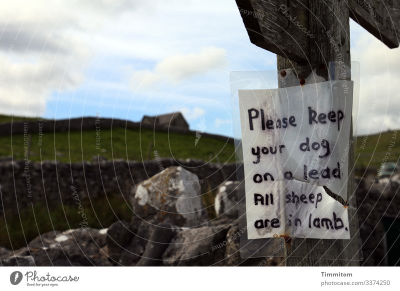 About the sheep...dogs on leashes! Yorkshire Great Britain Hill Signage Sheep Lambing season House (Residential Structure) Stone wall Vacation & Travel