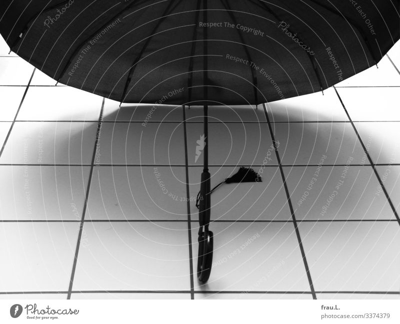 umbrella Living or residing Bathroom Stand Beautiful Umbrella Dry Tuft Tile Black & white photo Interior shot Day