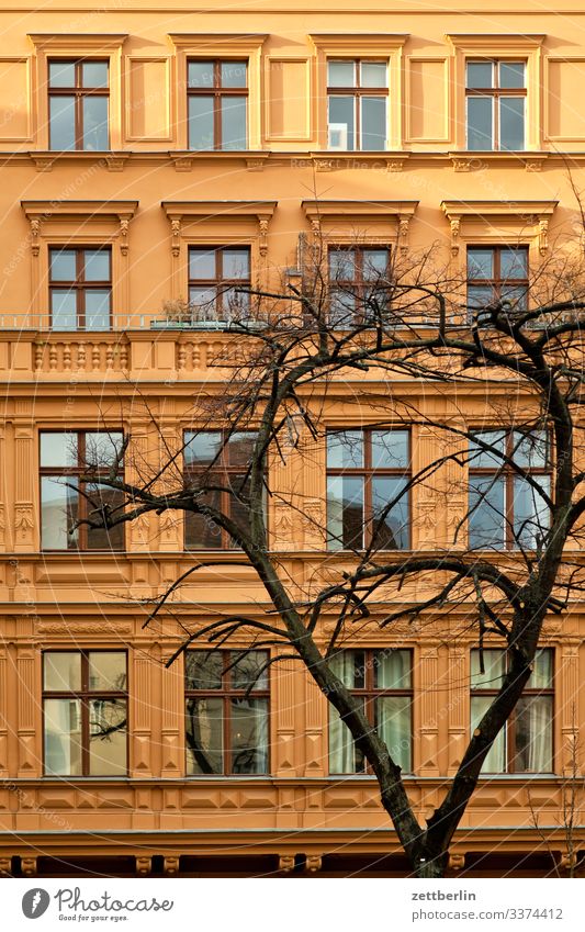 Facade with tree Architecture Classicism Art nouveau house Berlin City Capital city House (Residential Structure) High-rise Apartment Building Tower block