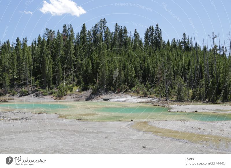 yellowstone national park the nature Swimming pool Vacation & Travel Tourism Mountain Nature Landscape Park Forest Volcano Hot Natural Yellowstone National Park