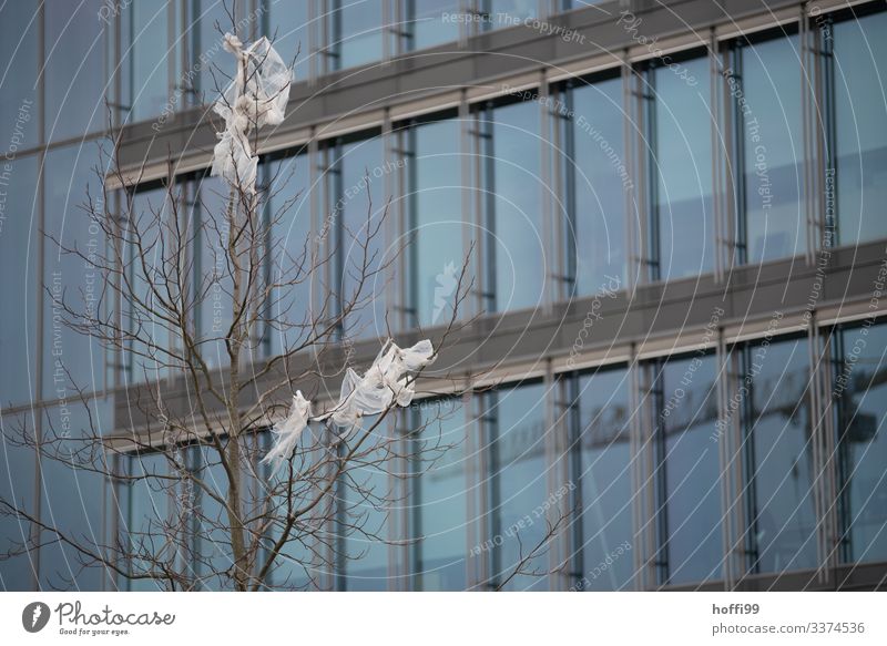 Plastic waste in branches of a bare tree in front of a glass facade Environment Bad weather Tree High-rise Bank building Stairs Window Plastic bag Trash Threat