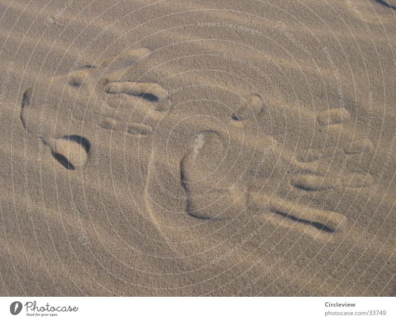 Walk of Fame at the Baltic Sea beach Beach Hand Impression Men`s hand Europe Beach dune Wind Sand Close-up Detail Desert Imprint