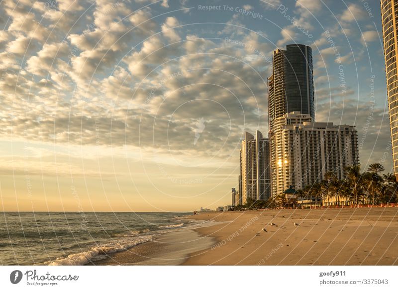 Sunny Isles Beach Florida Wide angle Panorama (View) Exterior shot Multicoloured Colour photo Wanderlust Architecture Manmade structures Town Far-off places