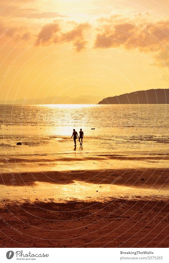 Silhouette of two people on sunset sea shore Calm Vacation & Travel Summer Beach Ocean Human being Man Adults Friendship Couple 2 Sky Clouds Horizon Weather