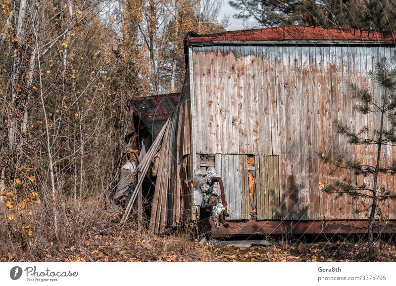 ruins of a wooden house in Chernobyl Ukraine in autumn Vacation & Travel Tourism Trip House (Residential Structure) Autumn Ruin Building Architecture Street