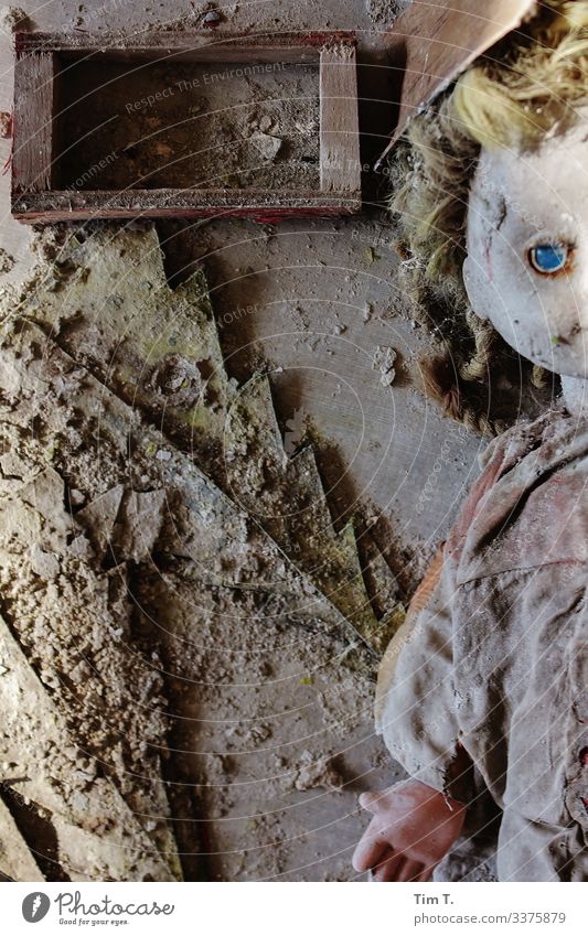 during Ukraine Death Decline Transience Future Doll Doll's eyes Colour photo Interior shot Deserted Day Looking into the camera