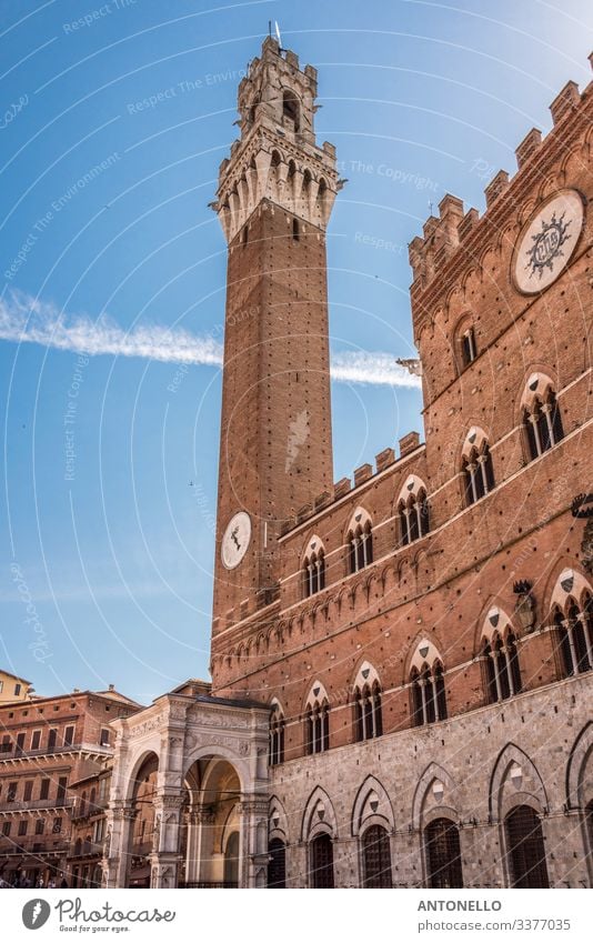 Left side of the Palazzo Comunale of Siena Elegant Vacation & Travel Tourism Summer Art Architecture Sky Cloudless sky Beautiful weather Tuscany Italy Europe