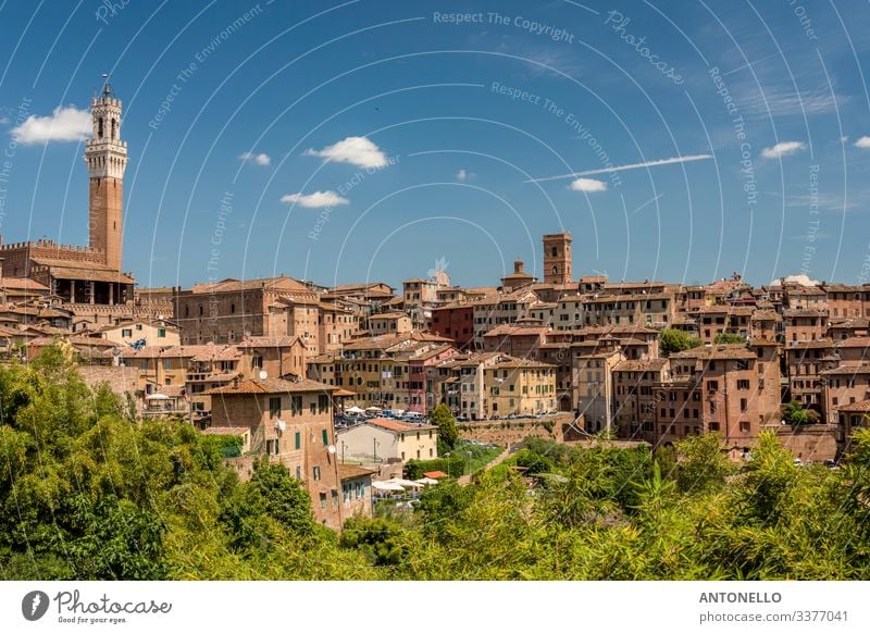 View of Siena from south with the Mangia Tower Vacation & Travel Tourism Summer Flat (apartment) House (Residential Structure) Architecture Landscape Sky Clouds