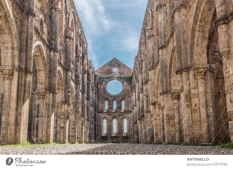 Interior view of the Abbey of San Galgano Vacation & Travel Tourism Art Architecture Sky Clouds Spring chiusdino Siena Tuscany Italy Europe Village Church Dome