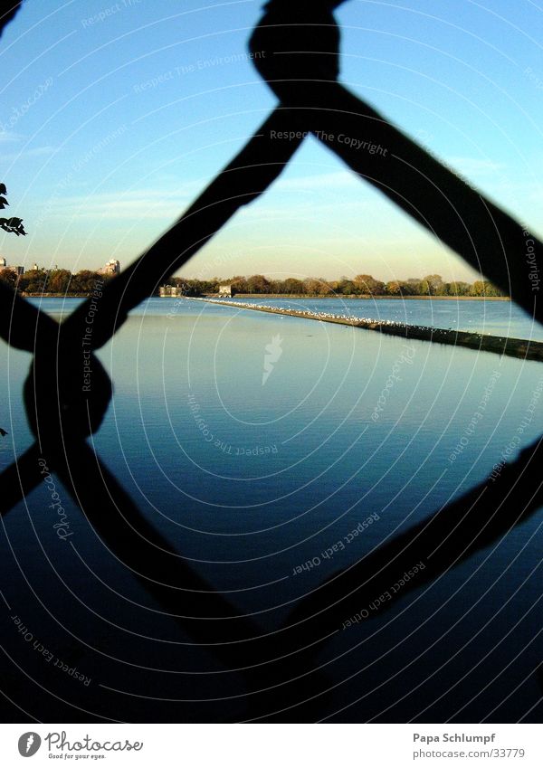 Water in the lake Lake Wire netting fence Fence Summer evening Central Park Captured Grating Dusk Blue Evening