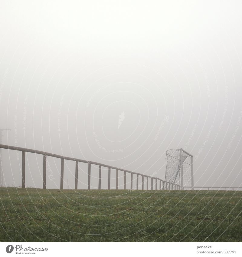 network security Ball sports Sporting Complex Football pitch Weather Fog Grass Meadow Famousness Sharp-edged Round Gray Green Grass surface Soccer Goal Handrail