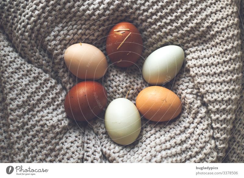 Six eggs in different natural colours laid on a grey blanket in the shape of a flower Food Egg Organic produce Biological Nutrition Easter Nature Spring Nest