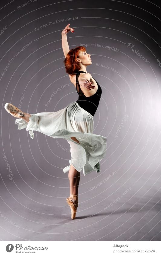 attractive ballerina poses gracefully in the... - Stock Photo [73779044] -  PIXTA