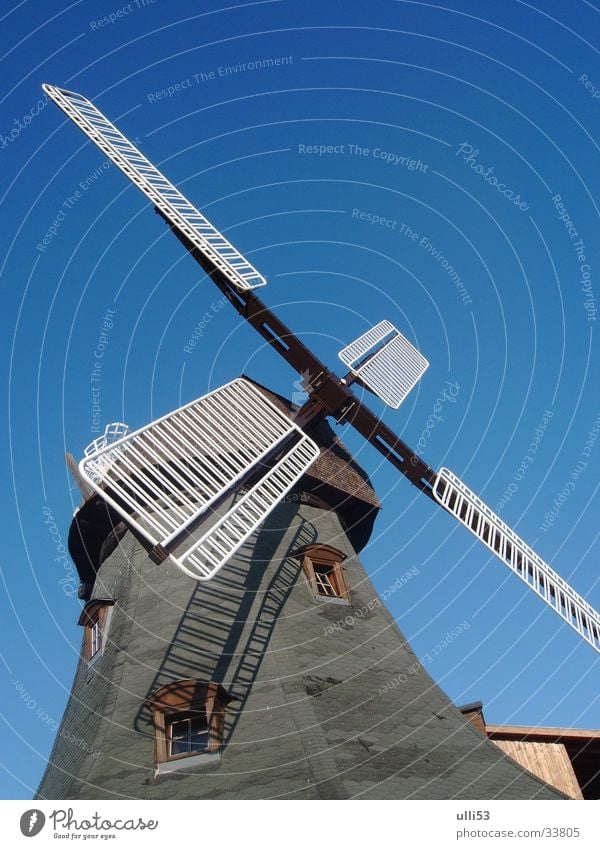 windmill Wind Windmill Historic Blue sky Diagonal Miller Architecture Craft (trade) Wing