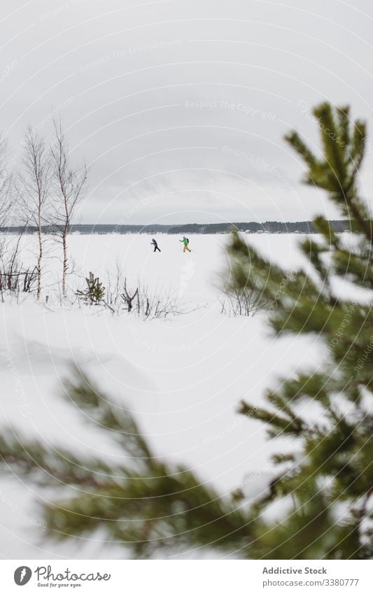 Winter field with running skiers winter nature landscape people snow forest tree spruce branch frame cloudy cold season wild countryside environment weather