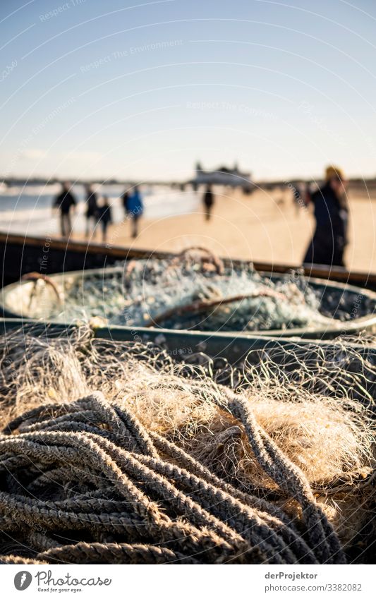 Fishing nets on the beach of Ahlbeck Sunlight Shadow To go for a walk Checkmark Rope Sea coast Sea bridge Usedom Sunrise Seagull Fishing boat fishing Winter
