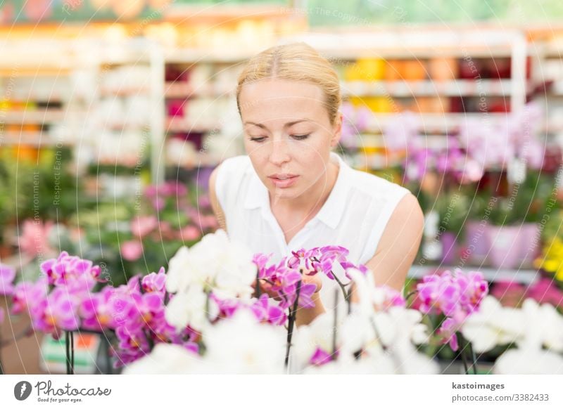 Beautiful lady smelling colorful blooming orchids. flower buy tropical greenhouse shop business garden happy gardener horticulture store plant beautiful