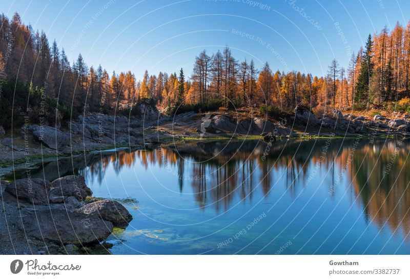 Autumn in the valley of the seven lakes in Julian Alps alpine alps autumn background beauty blue bohinj central clear ecology europe forest gorenjska grass