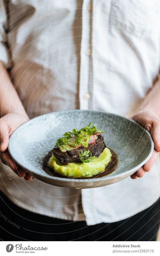 Cook holding plate with vegetable puree and cutlet herbs green delicious dish tasty cook food fresh gourmet cuisine healthy dinner nutrition prepare garnish